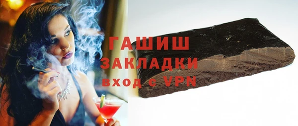 индика Алексин