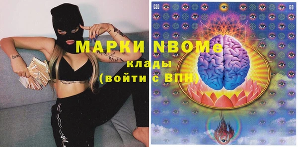 индика Алексин