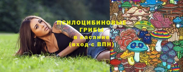 бутират Алексеевка