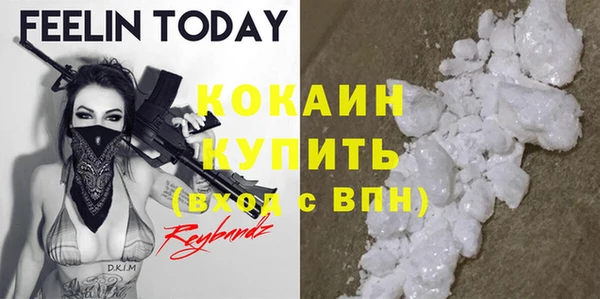 индика Алексин