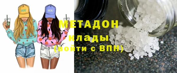 индика Алексин