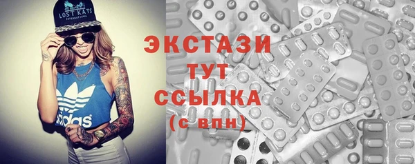 индика Алексин