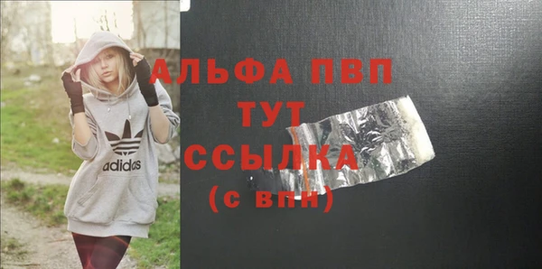 индика Алексин